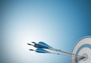 Purpose that hits the bullseye